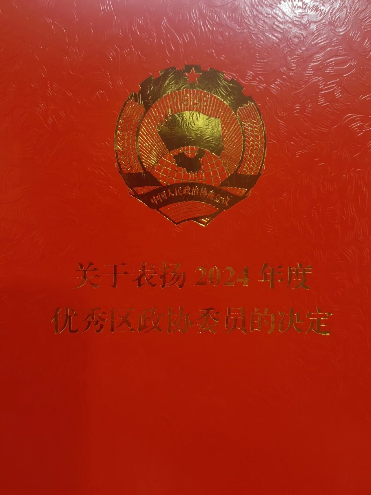艺鸿装饰陈胜华先生荣获第九届优秀政协委员称号(图9)